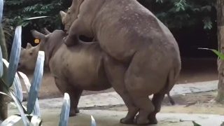 炎の孕ませおっぱいエロアプリ学園01