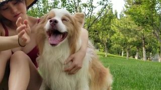 Take homeless dog to spend a wonderful Day 带流浪狗小院里颜值最高的一只过六一儿童节