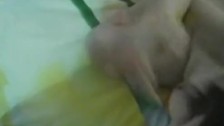 Amateur chinese milf and daught 1fuckdatecom