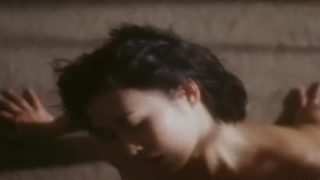 Hongkong porn star!葉玉卿2