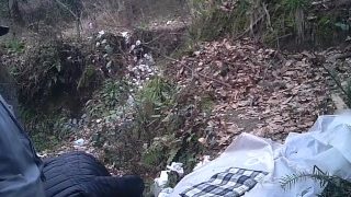 Chinese Daddy Forest 38