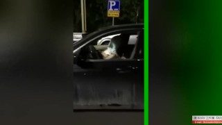 [ DU • 国内最热 ] 国内热门视频，宝马车里露天操逼，嗷嗷叫，被路人拍到，唯一漏出无码视频，追求最新最热订阅我。