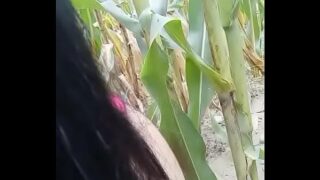 masturbate on the field – More https://bom.to/im7bsMH8fjNC