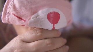 [近距离拍摄]可爱的女孩口吹 Close up blowjob and frenulum edging Short Ver